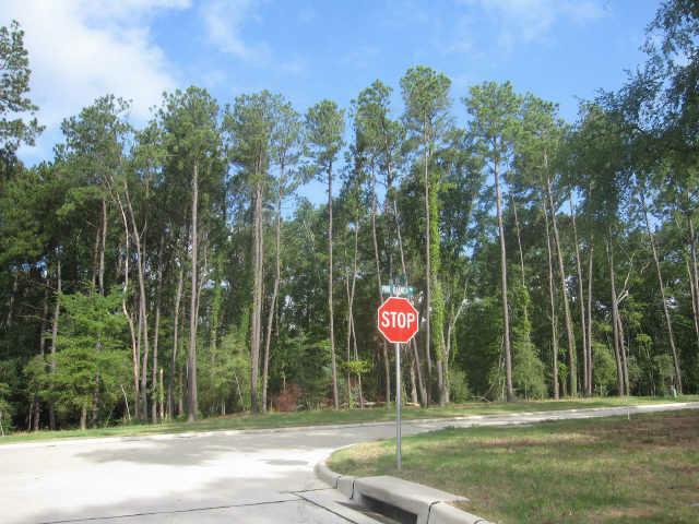 165 Pine Branch Drive - Photo 1