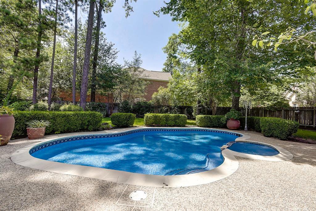 39 Filigree Pines Place - Photo 1