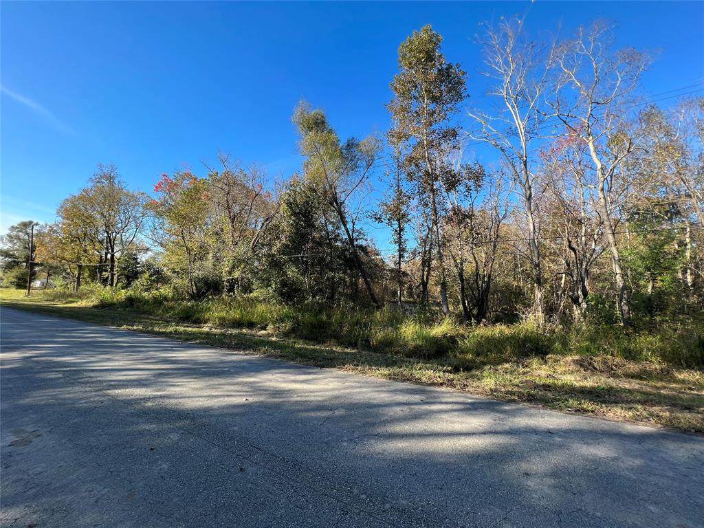 0-TBD County Road 143 - Photo 1