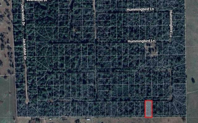 0 Mockingbird Lane - Photo 1