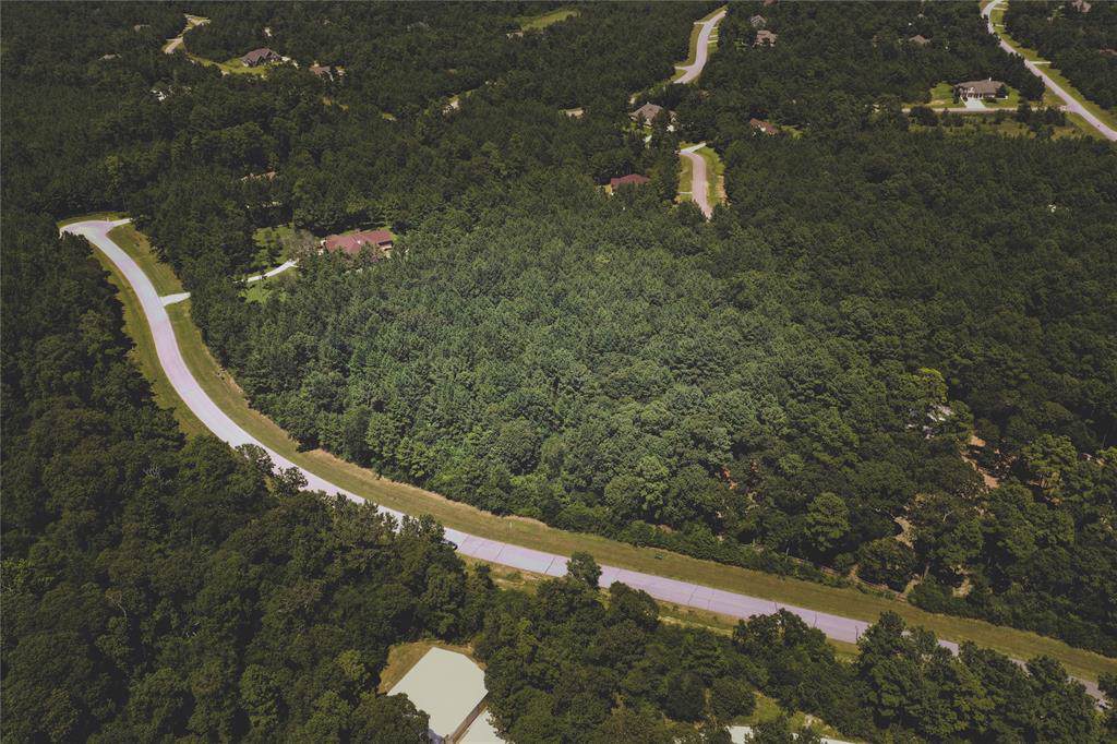 12627 Shady Woods Trail - Photo 1