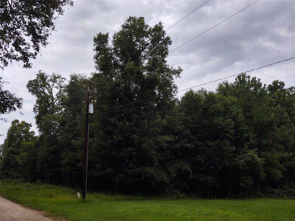00 Indian Oaks - Photo 1