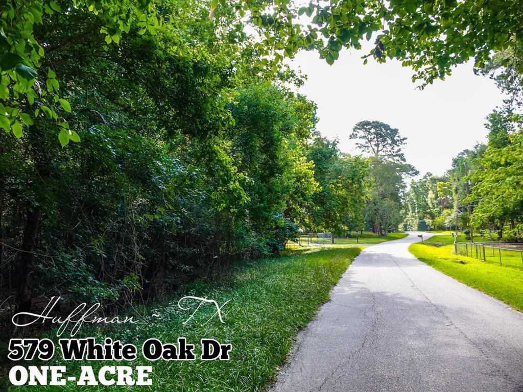 579 White Oak Drive - Photo 1