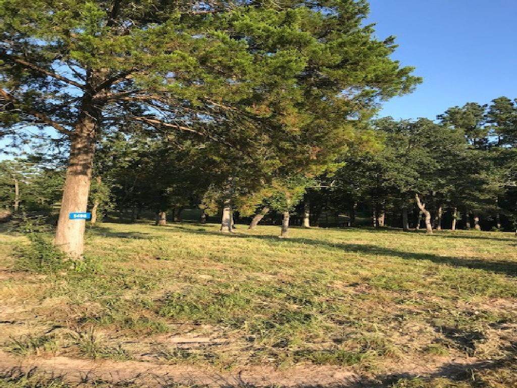 5498 Highway 36 - Photo 1