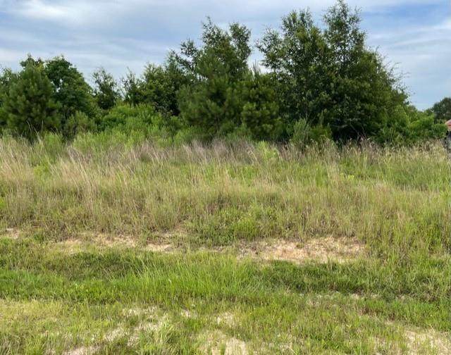 298 County Road 5118 - Photo 1