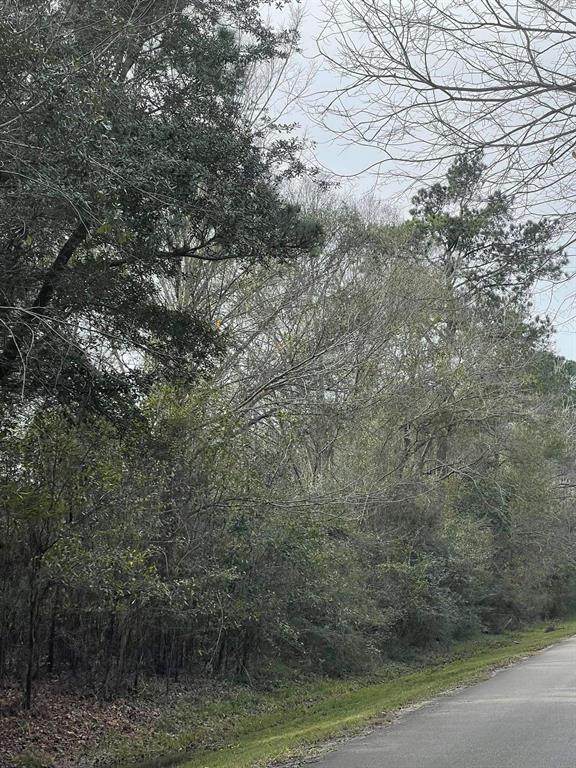 1642 Sunrise Trail - Photo 1