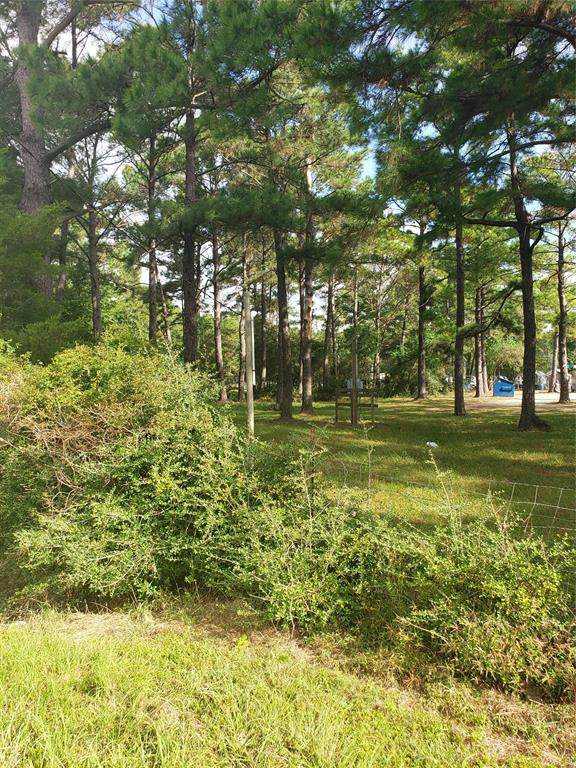 15550 Grant Road - Photo 1