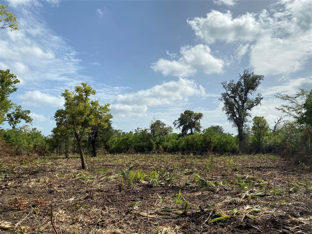 00 County Road 347 - Photo 1