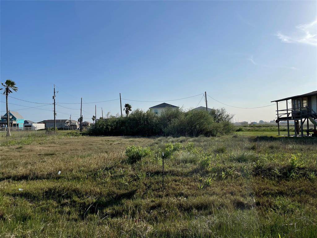 517 Olive Street - Photo 1