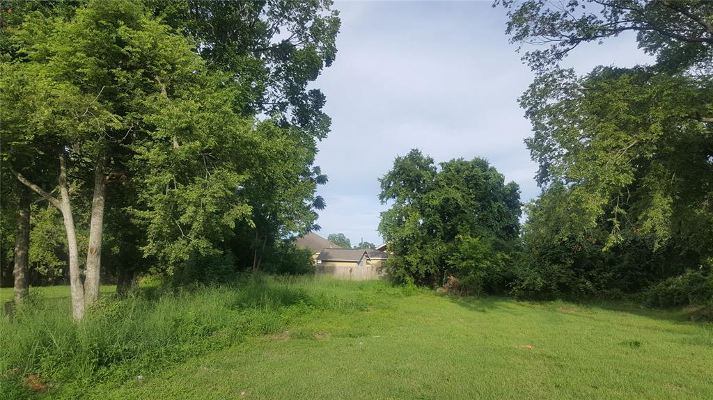 2507 Live Oak - Photo 1
