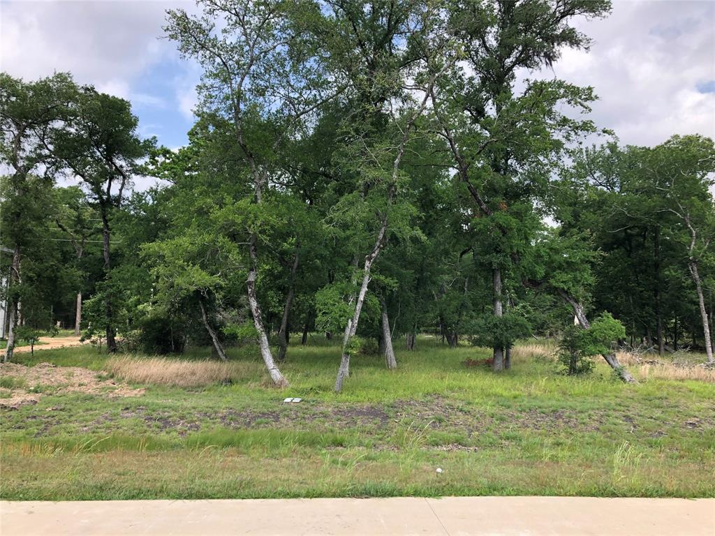 918 Royal Lakesmanor Blvd Boulevard - Photo 1