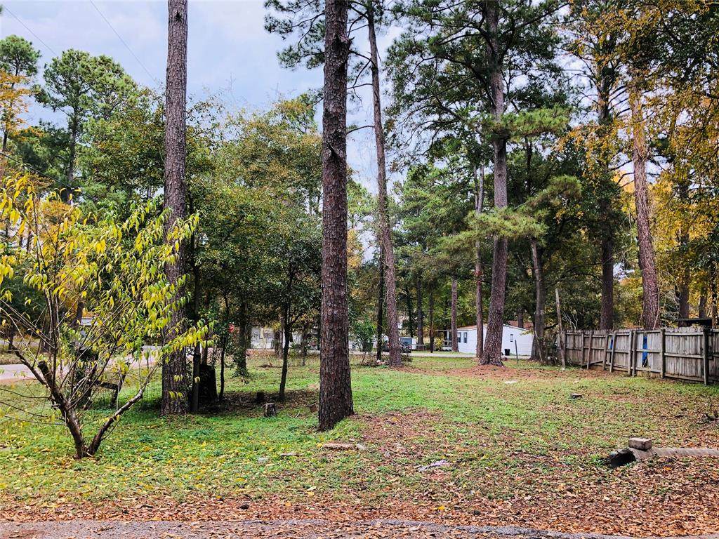 9582 Darkwood Street - Photo 1