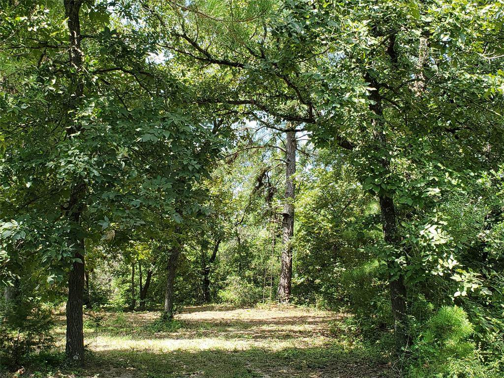 TBD TR1 Fm 1511 - Photo 1