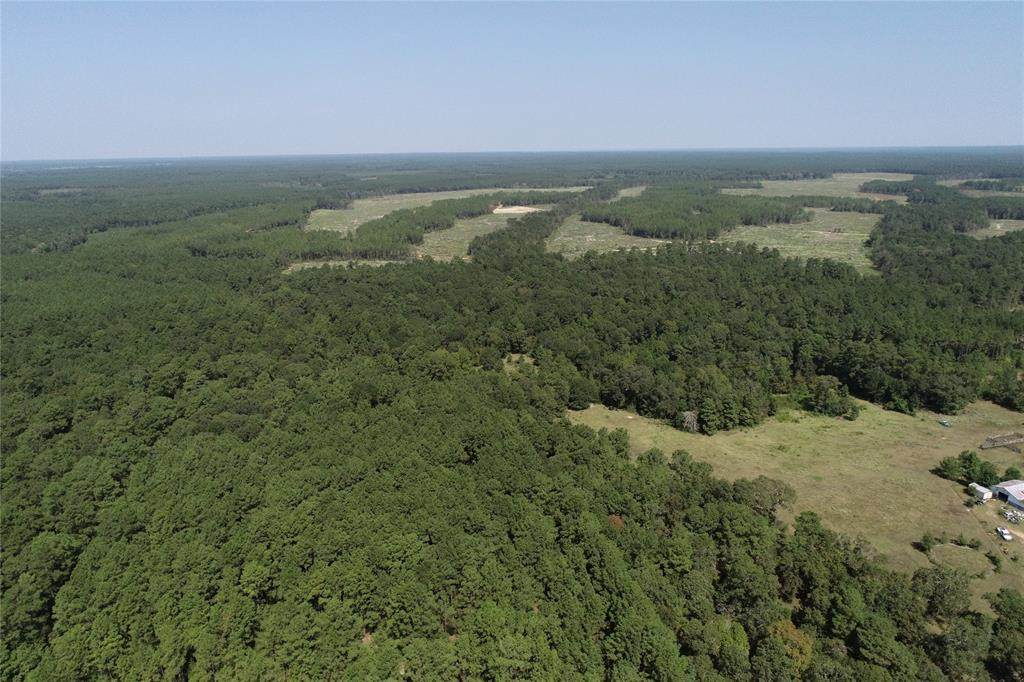 TBD Norma Ln Lane - Photo 1