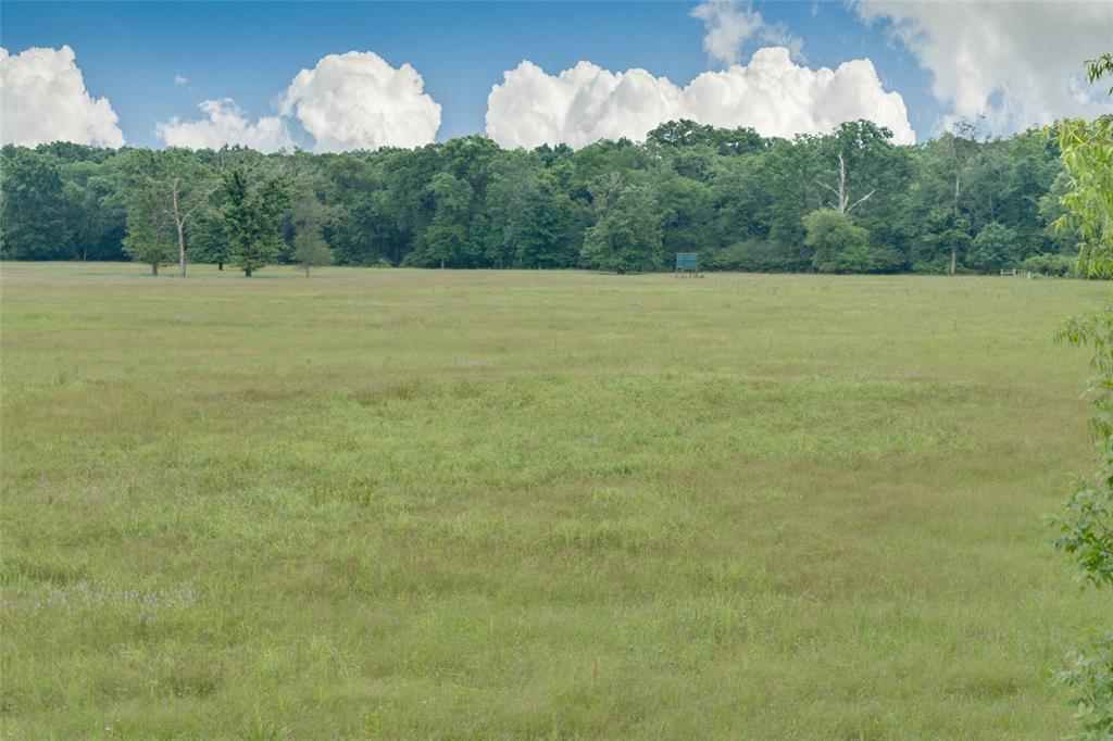 125 County Road 4323 - Photo 1