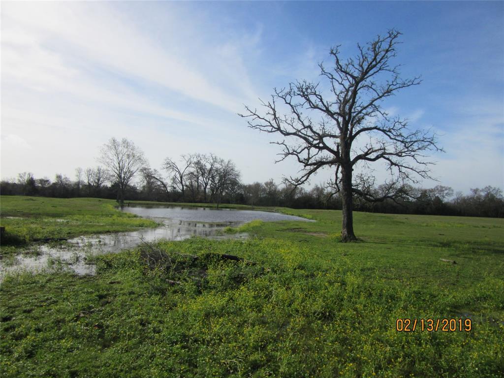 TBD County Road 416A - Photo 1