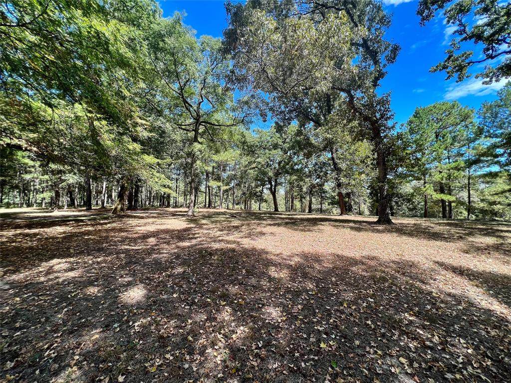 293 Robinson Creek - Photo 1