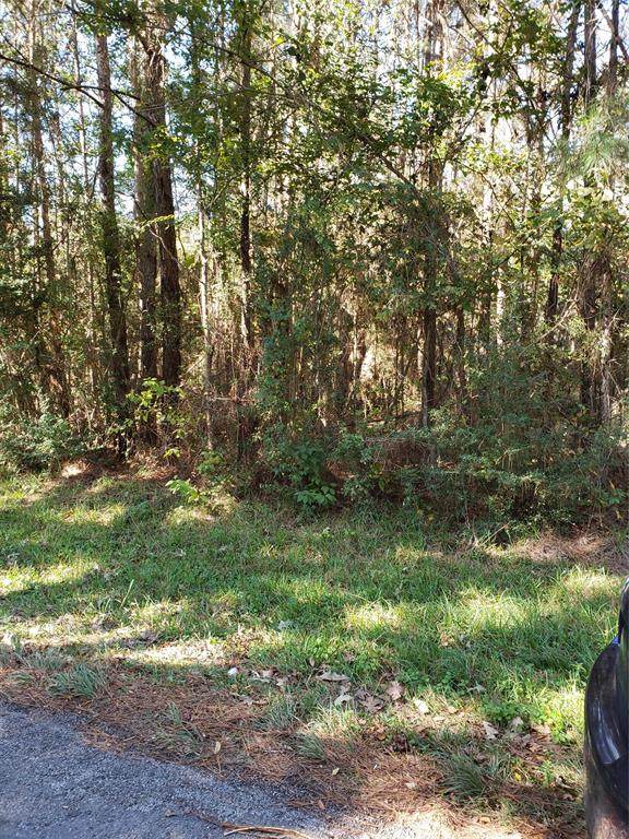 0 County Road 2097 Off - Photo 1