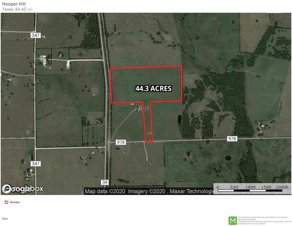 44.3 Acres Farm To Market 978 - Photo 1