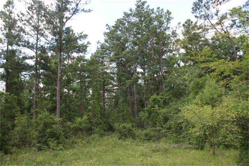 10182 County Road 208 - Photo 1