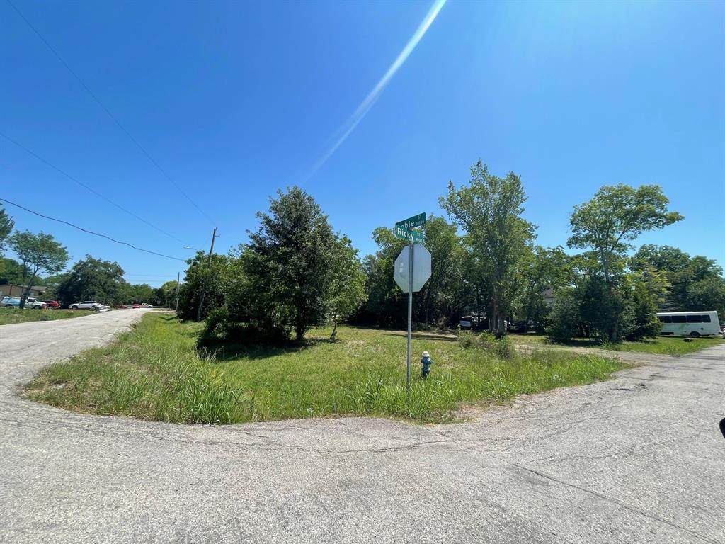 4901 Ricky Street - Photo 1