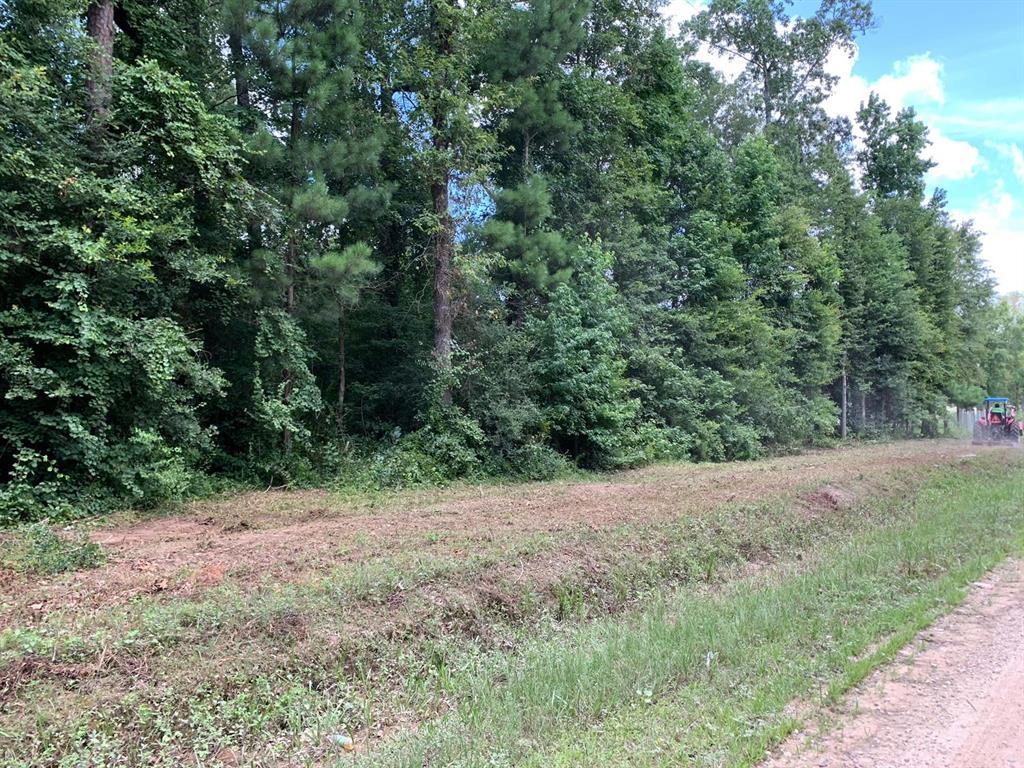 0 Oak Forest Drive - Photo 1