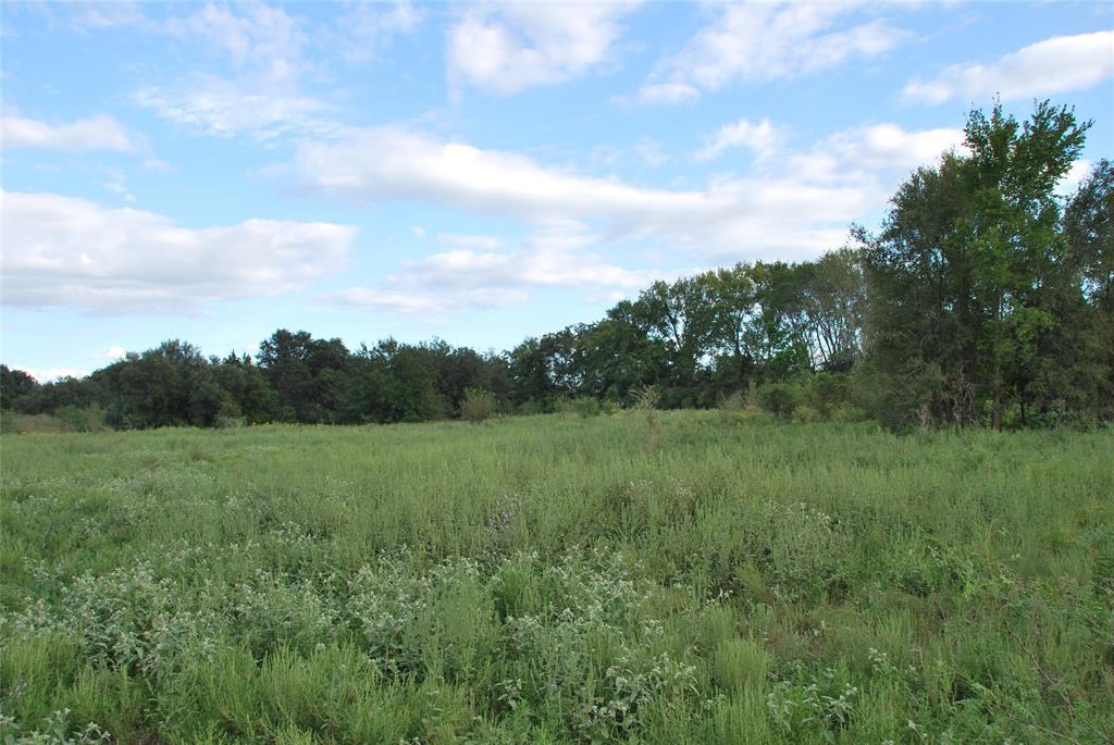 1150 County Rd 504 - Photo 1