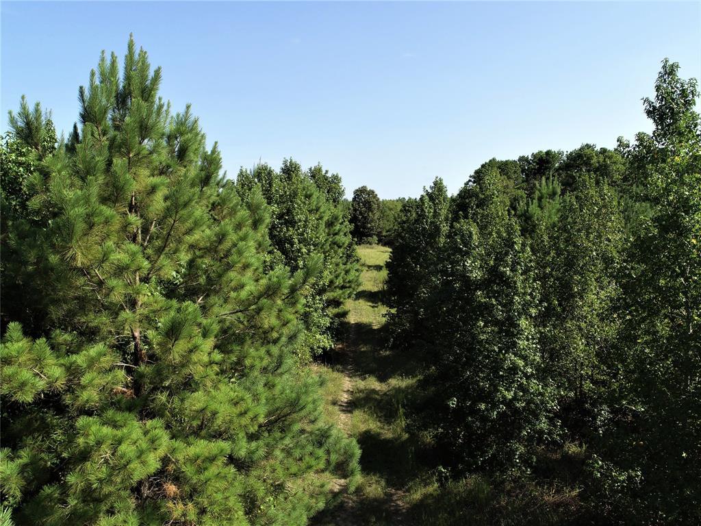 NA Groveton Flat Prairie Road - Photo 1
