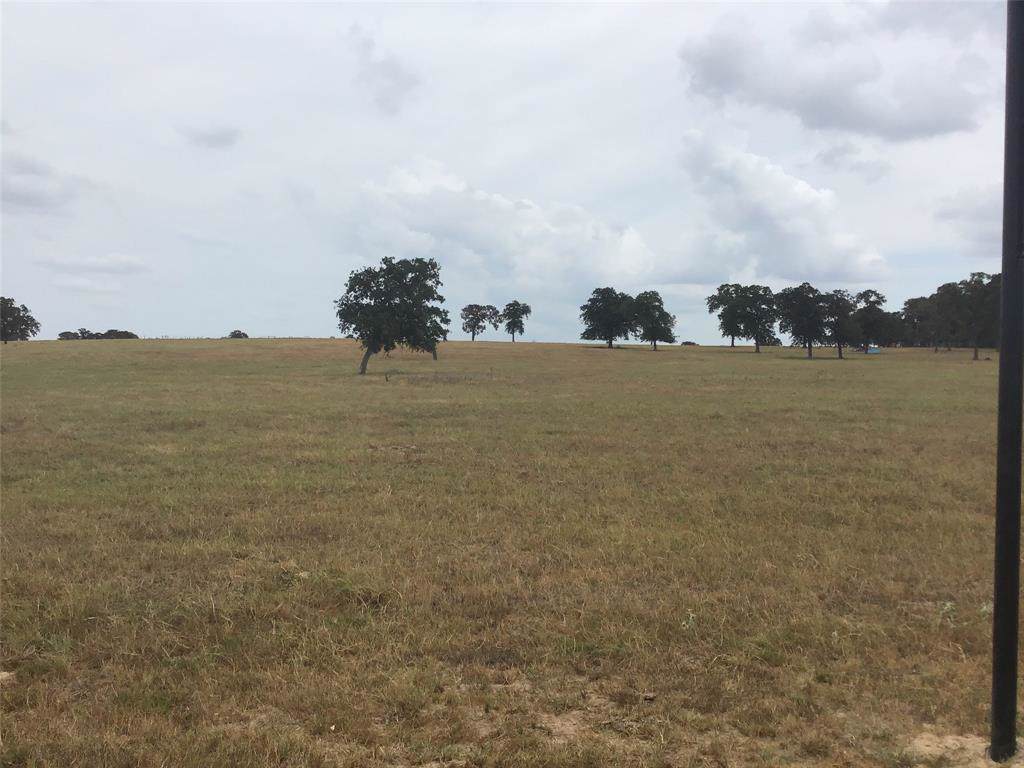 7529 1/2 Fm 2446 - Photo 1