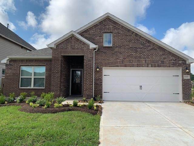 949 Golden Willow Lane - Photo 1