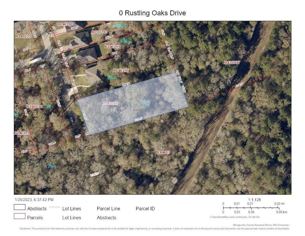 0 Rustling Oaks Drive - Photo 1
