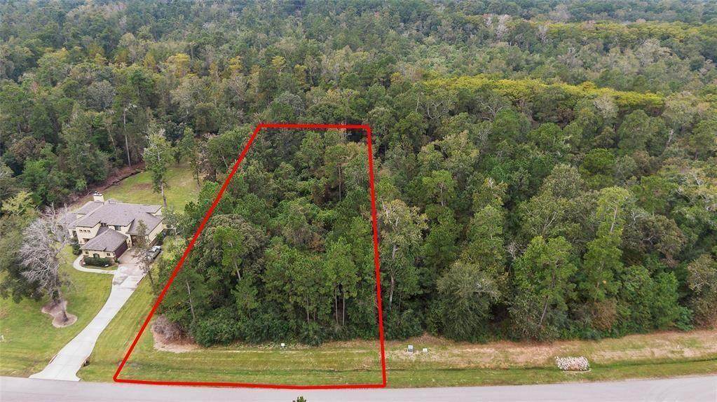 27414 Shady Hills Landing Ln Lane - Photo 1