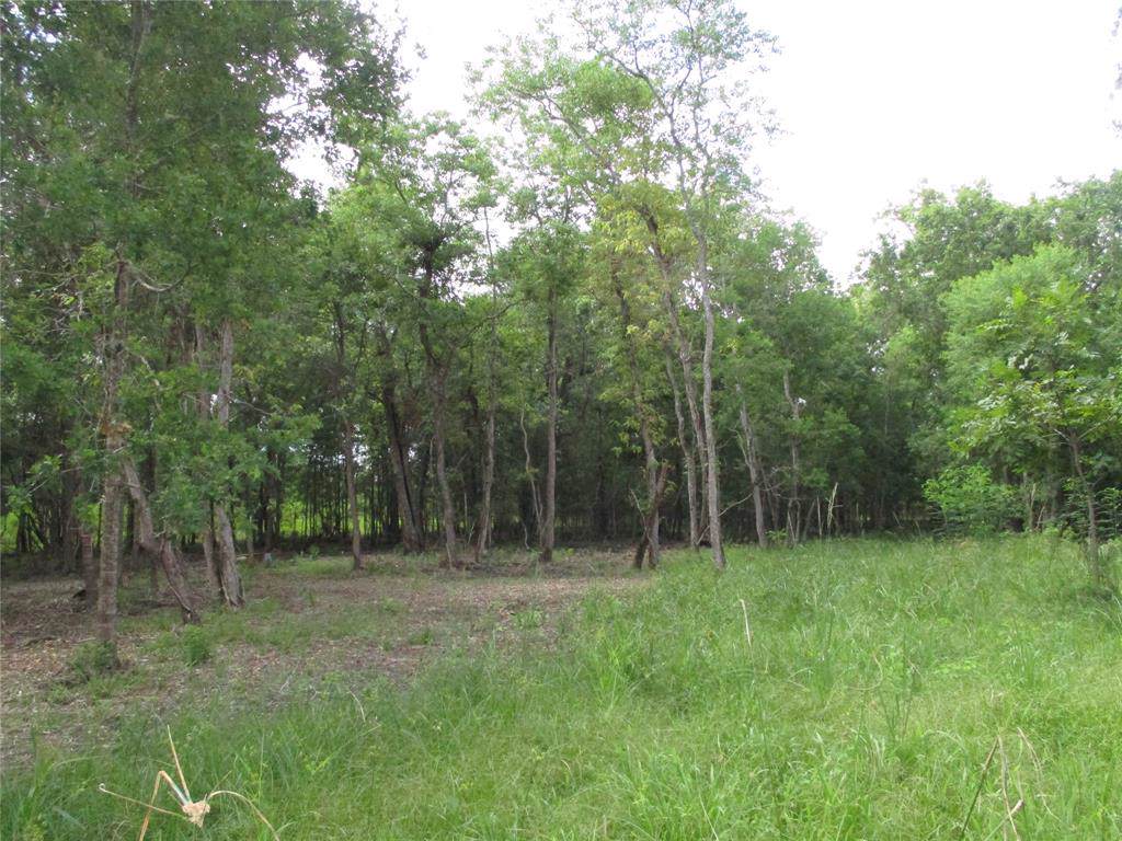 4293 County Road 780 - Photo 1