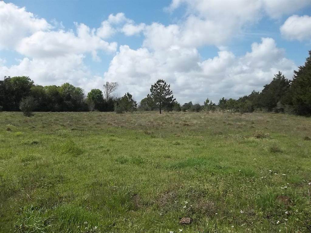 27483 Robinson Road - Photo 1
