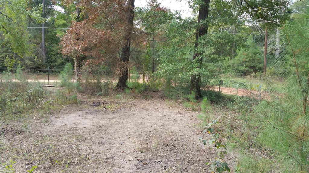 460 Tonda Trl - Photo 1