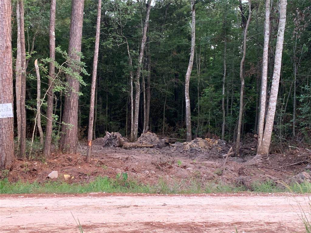 00 Presley Ln Lane - Photo 1