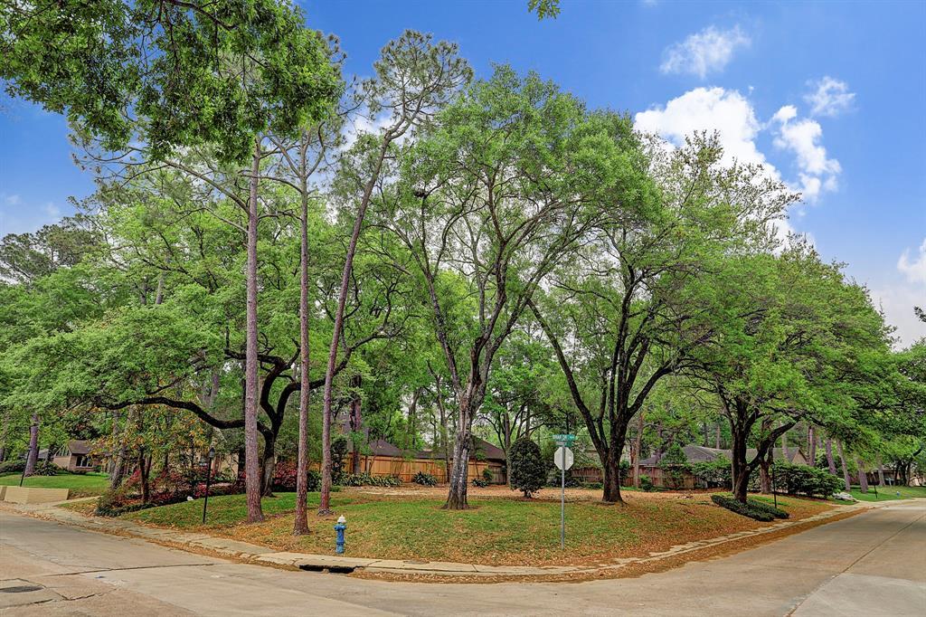 10139 Briar Drive - Photo 1