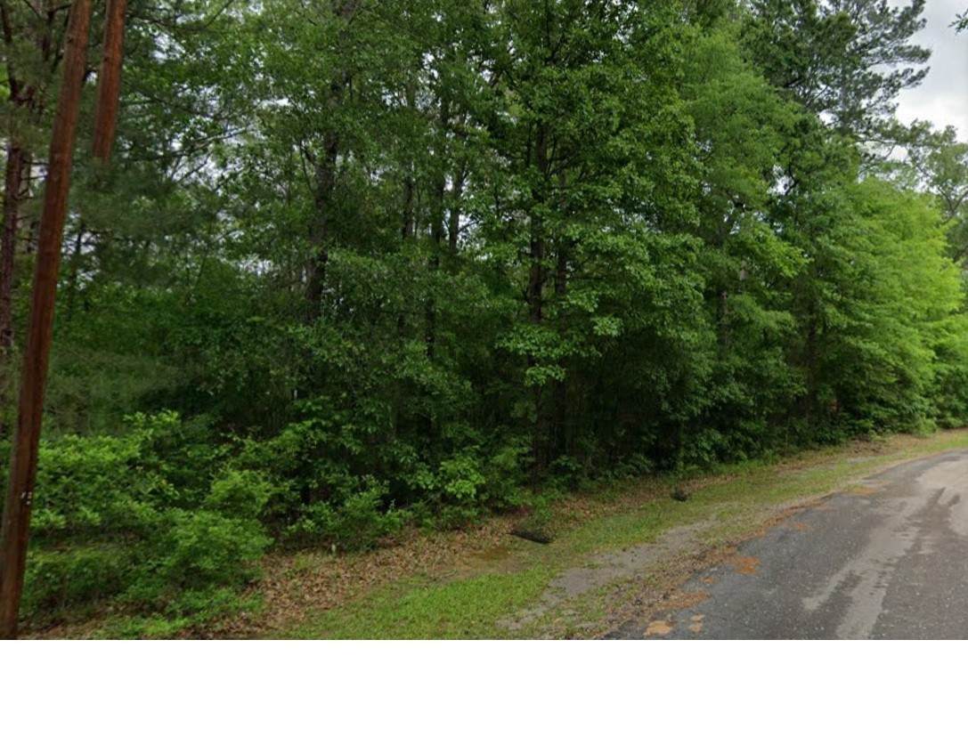 000 County Road 071 - Photo 1