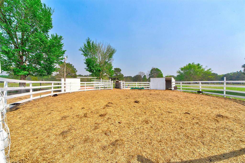 15742 Mound Creek Road - Photo 1