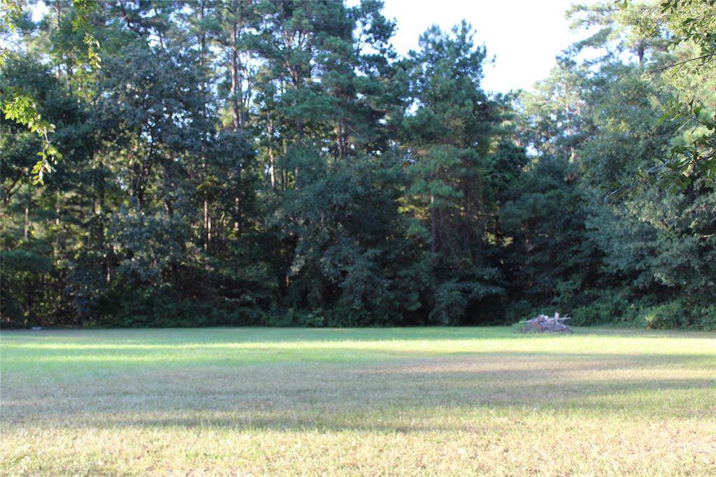 26550 Fm 2090 Road - Photo 1