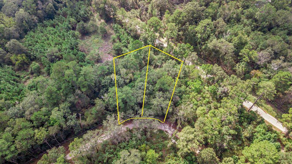 TBD-2 County Road 360 Moss Forest Drive - Photo 1