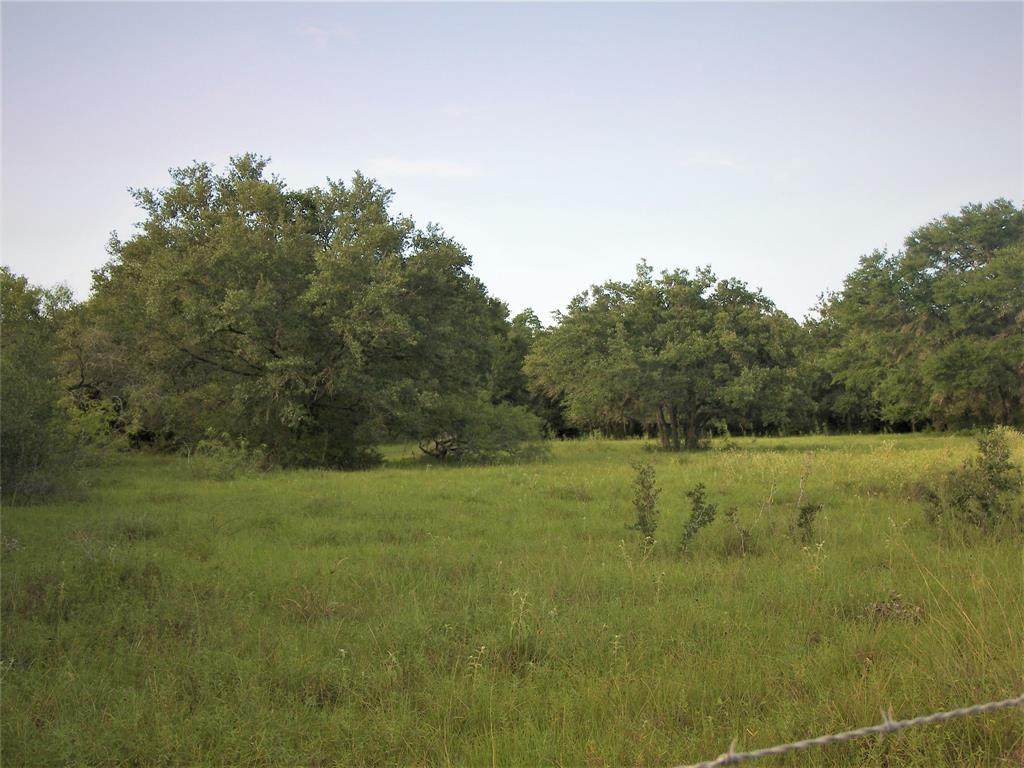 TBD Cr 212, Cr 273, Cr 230 - Photo 1