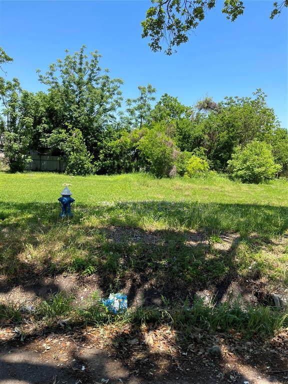 2505 Anita Street - Photo 1
