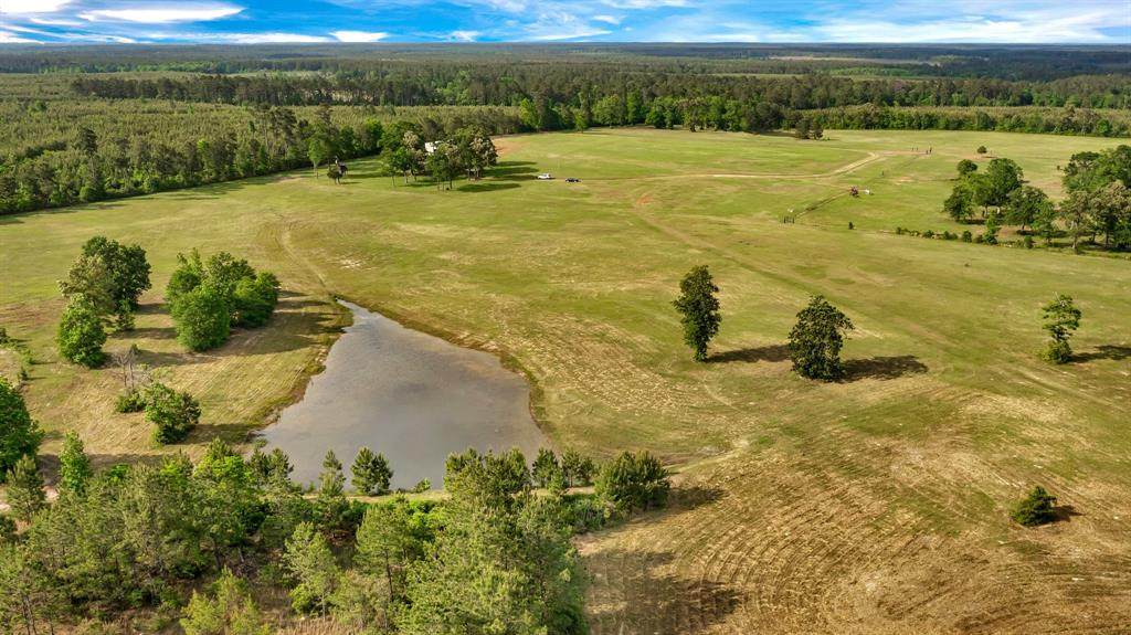 2441 Bill Hales Road - Photo 1