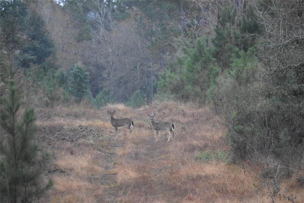 2670 County Rd - Photo 1