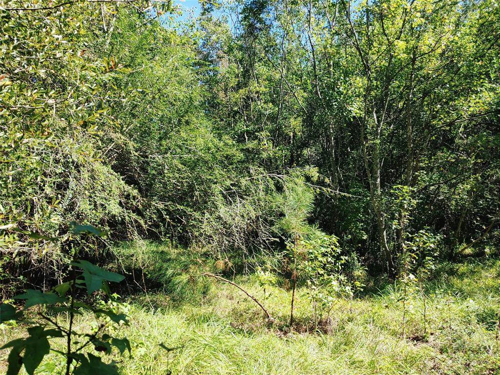0 Pineshadows Drive - Photo 1