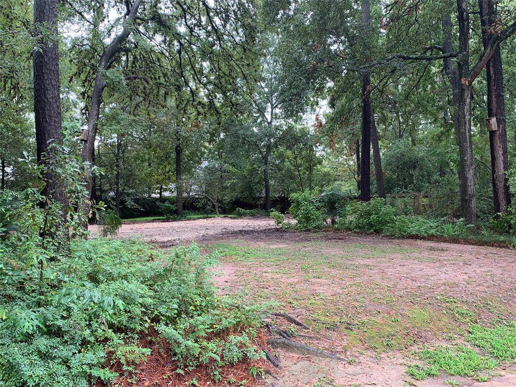 13131 Boheme Street - Photo 1
