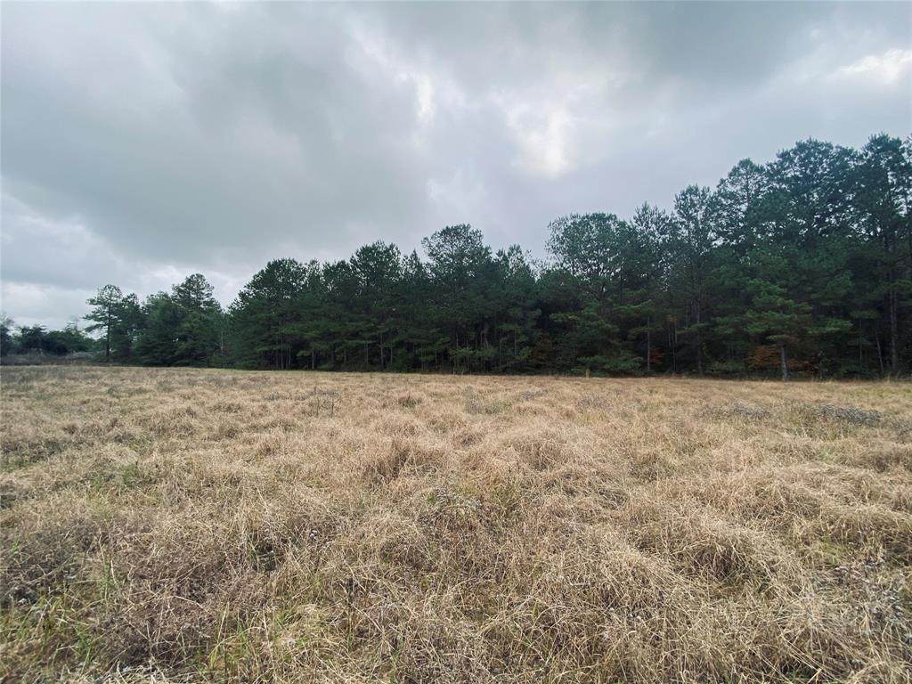 0 County Road 113 - Photo 1