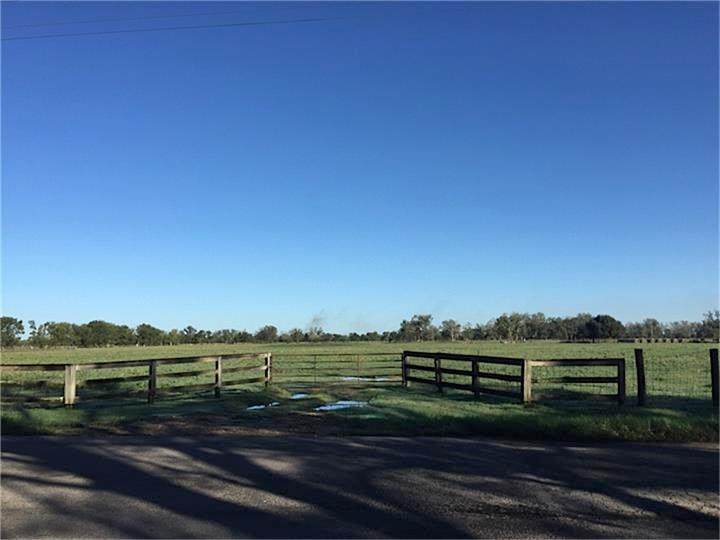 36604 County Line Road - Photo 1