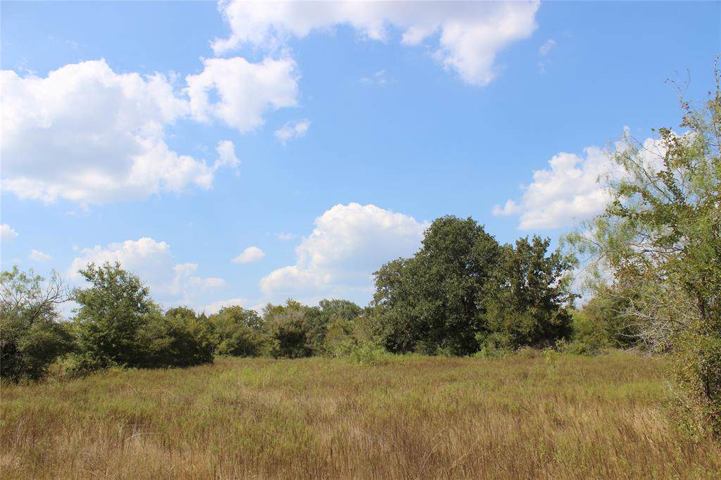 737 County Road 516 - Photo 1
